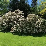 Schlosspark Grubhof - Mitterer *