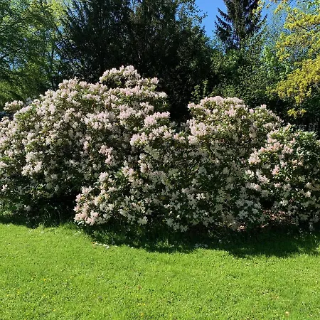 Schlosspark Grubhof - Mitterer *