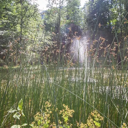 Schlosspark Grubhof - Mitterer 아파트