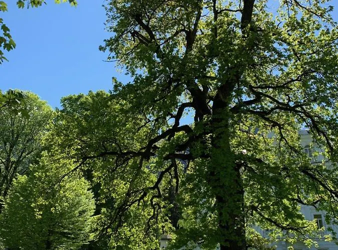 Schlosspark Grubhof - Mitterer Sankt Martin bei Lofer
