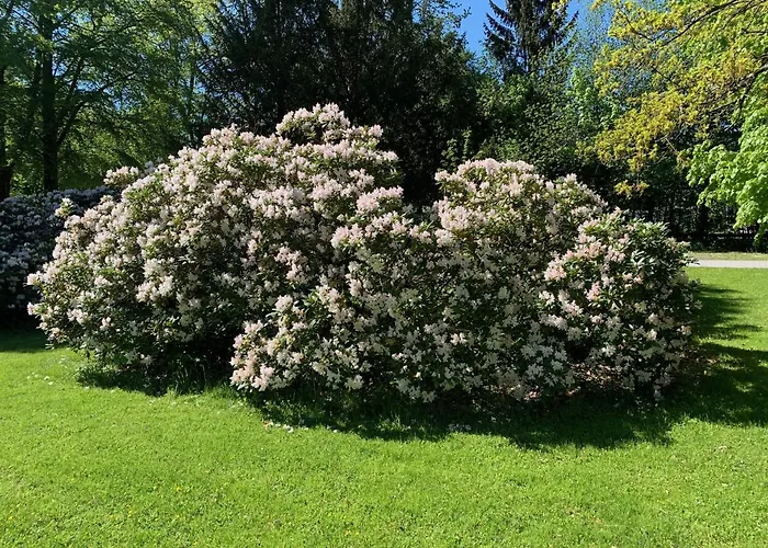 Schlosspark Grubhof - Mitterer *